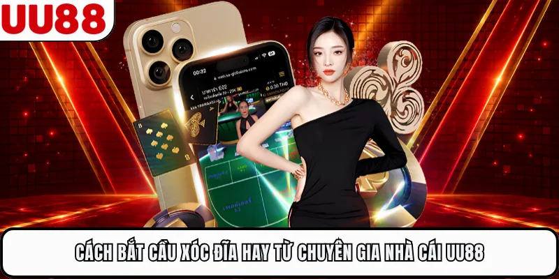 Cách Bắt Cầu Xóc Đĩa Hay Từ Chuyên Gia Nhà Cái UU88