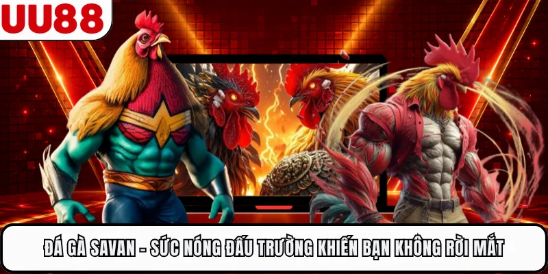 Đá Gà Savan - Sức Nóng Đấu Trường Khiến Bạn Không Rời Mắt