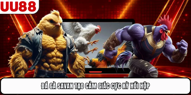 Đá gà Savan tạo cảm giác cực kỳ hồi hộp