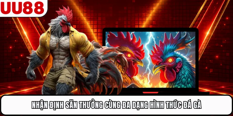 Nhận định săn thưởng cùng đa dạng hình thức đá gà